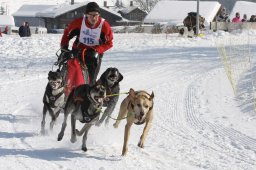 Lenk 2012 SM
